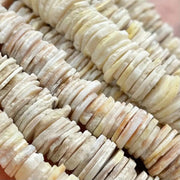 1 Stand Oyster Shell Rondels - Sea Beads