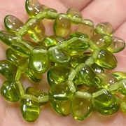 50 Green Olivine Czech Petal Glass Beads - Sea Beads